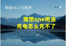 理想one用油充电怎么充不了