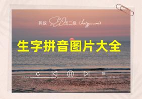 生字拼音图片大全