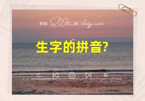 生字的拼音?