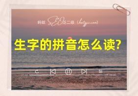 生字的拼音怎么读?