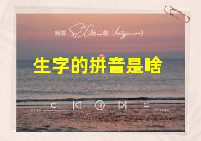 生字的拼音是啥