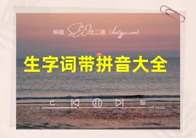 生字词带拼音大全