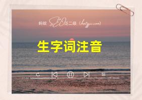 生字词注音