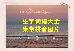 生字词语大全集带拼音图片