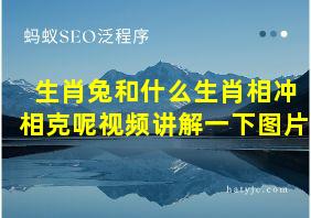 生肖兔和什么生肖相冲相克呢视频讲解一下图片