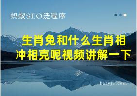 生肖兔和什么生肖相冲相克呢视频讲解一下