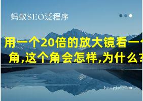 用一个20倍的放大镜看一个角,这个角会怎样,为什么?