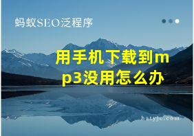 用手机下载到mp3没用怎么办