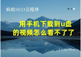 用手机下载到u盘的视频怎么看不了了