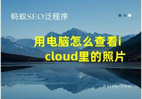 用电脑怎么查看icloud里的照片