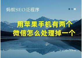 用苹果手机有两个微信怎么处理掉一个