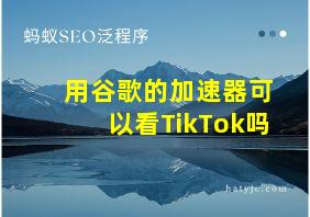 用谷歌的加速器可以看TikTok吗