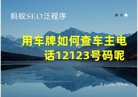 用车牌如何查车主电话12123号码呢