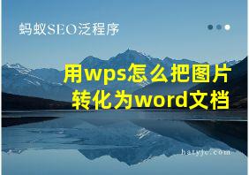 用wps怎么把图片转化为word文档