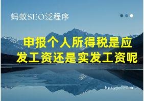 申报个人所得税是应发工资还是实发工资呢