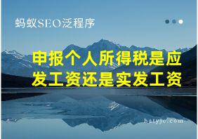 申报个人所得税是应发工资还是实发工资