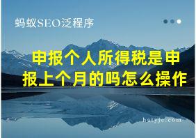 申报个人所得税是申报上个月的吗怎么操作