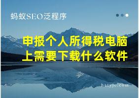 申报个人所得税电脑上需要下载什么软件