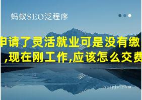 申请了灵活就业可是没有缴费,现在刚工作,应该怎么交费