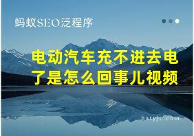 电动汽车充不进去电了是怎么回事儿视频