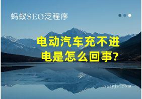 电动汽车充不进电是怎么回事?