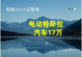电动特斯拉汽车17万