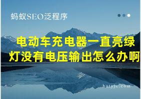 电动车充电器一直亮绿灯没有电压输出怎么办啊