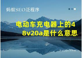 电动车充电器上的48v20a是什么意思