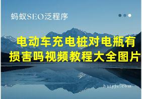 电动车充电桩对电瓶有损害吗视频教程大全图片