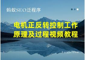 电机正反转控制工作原理及过程视频教程