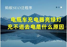 电瓶车充电器亮绿灯充不进去电是什么原因