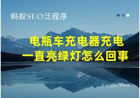 电瓶车充电器充电一直亮绿灯怎么回事