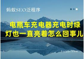 电瓶车充电器充电时绿灯也一直亮着怎么回事儿