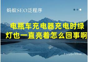 电瓶车充电器充电时绿灯也一直亮着怎么回事啊