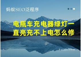 电瓶车充电器绿灯一直亮充不上电怎么修