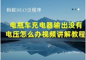 电瓶车充电器输出没有电压怎么办视频讲解教程