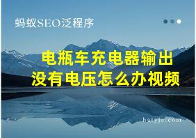 电瓶车充电器输出没有电压怎么办视频