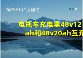 电瓶车充电器48v12ah和48v20ah互充