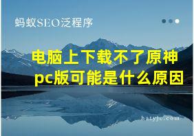 电脑上下载不了原神pc版可能是什么原因