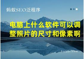 电脑上什么软件可以调整照片的尺寸和像素啊