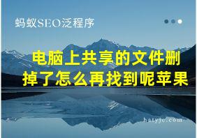 电脑上共享的文件删掉了怎么再找到呢苹果