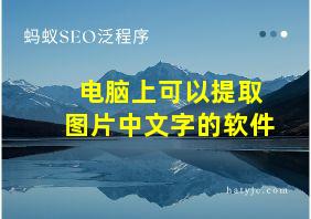 电脑上可以提取图片中文字的软件