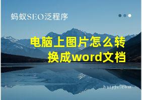 电脑上图片怎么转换成word文档