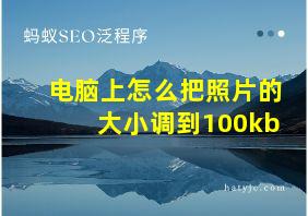 电脑上怎么把照片的大小调到100kb