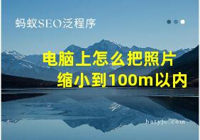 电脑上怎么把照片缩小到100m以内