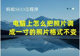 电脑上怎么把照片调成一寸的照片格式不变