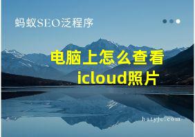 电脑上怎么查看icloud照片