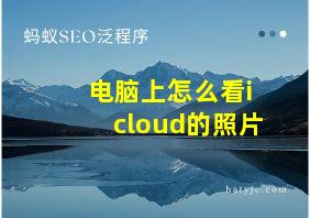 电脑上怎么看icloud的照片