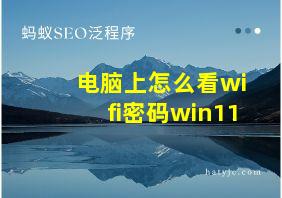 电脑上怎么看wifi密码win11