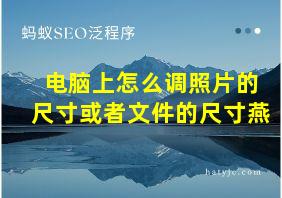 电脑上怎么调照片的尺寸或者文件的尺寸燕